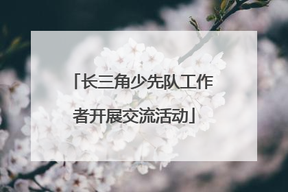 长三角少先队工作者开展交流活动
