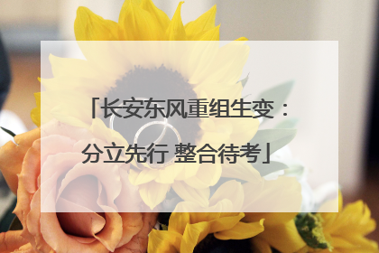 长安东风重组生变：分立先行 整合待考