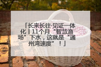 长来长往·见证一体化丨11个月“智慧渔场”下水，这就是“通州湾速度”！