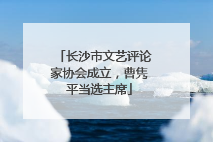 长沙市文艺评论家协会成立，曹隽平当选主席