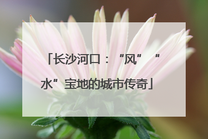 长沙河口：“风”“水”宝地的城市传奇