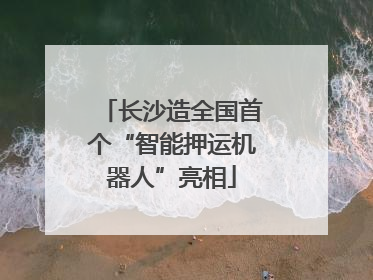 长沙造全国首个“智能押运机器人”亮相