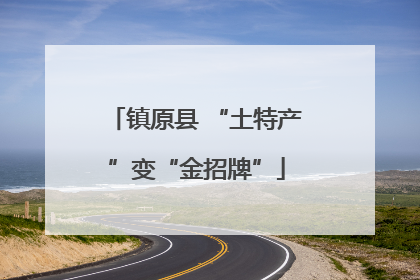 镇原县 “土特产”变“金招牌”