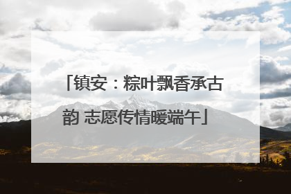 镇安：粽叶飘香承古韵 志愿传情暖端午