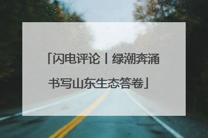 闪电评论丨绿潮奔涌 书写山东生态答卷