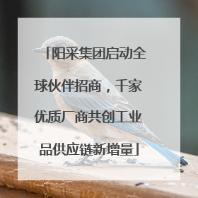 阳采集团启动全球伙伴招商，千家优质厂商共创工业品供应链新增量