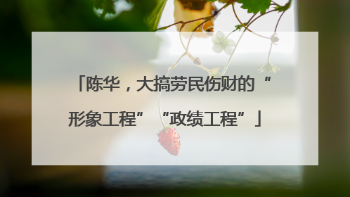 陈华，大搞劳民伤财的“形象工程”“政绩工程”
