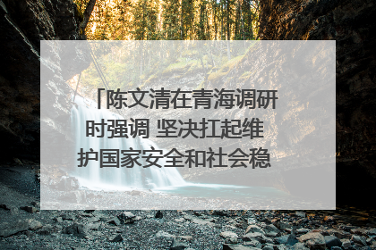陈文清在青海调研时强调 坚决扛起维护国家安全和社会稳定职责使命 为谱写中国式现代化青海篇章贡献政法力量