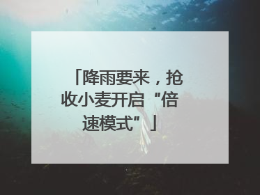 降雨要来，抢收小麦开启“倍速模式”