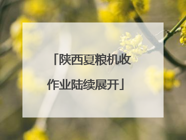 陕西夏粮机收作业陆续展开