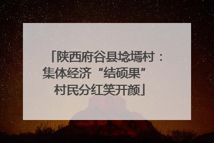 陕西府谷县埝墕村：集体经济“结硕果” 村民分红笑开颜