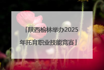 陕西榆林举办2025年托育职业技能竞赛