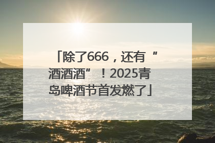 除了666，还有“酒酒酒”！2025青岛啤酒节首发燃了