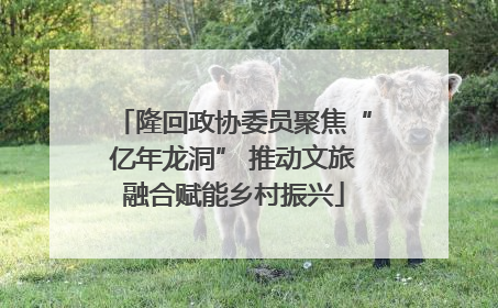 隆回政协委员聚焦“亿年龙洞” 推动文旅融合赋能乡村振兴