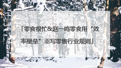 零食很忙&赵一鸣零食用“效率壁垒”重写零售行业规则