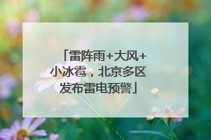 雷阵雨+大风+小冰雹，北京多区发布雷电预警