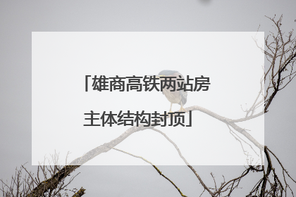 雄商高铁两站房主体结构封顶