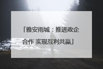 雅安雨城：推进政企合作 实现互利共赢