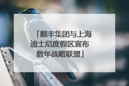 顺丰集团与上海迪士尼度假区宣布数年战略联盟