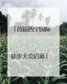 首届西宁国际徒步大会启幕