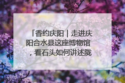 香约庆阳｜走进庆阳合水县这座博物馆，看石头如何讲述陇东千年历史