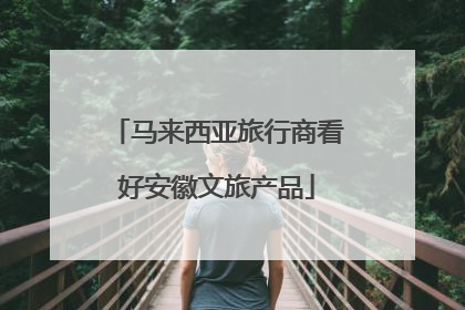 马来西亚旅行商看好安徽文旅产品