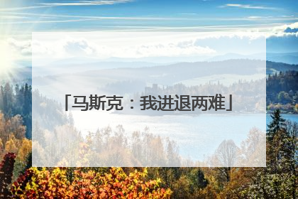 马斯克：我进退两难