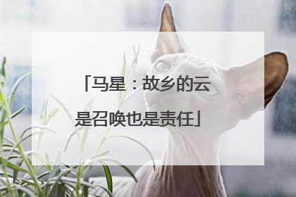 马星：故乡的云是召唤也是责任