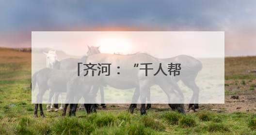 齐河：“千人帮办群”让政务服务“触手可及”