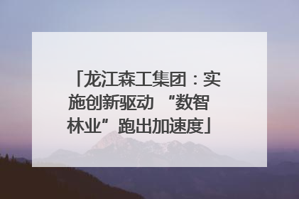 龙江森工集团：实施创新驱动 “数智林业”跑出加速度