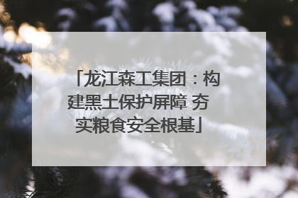 龙江森工集团：构建黑土保护屏障 夯实粮食安全根基