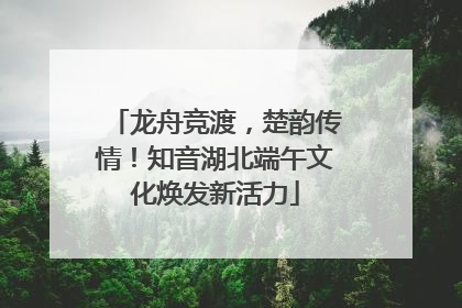 龙舟竞渡，楚韵传情！知音湖北端午文化焕发新活力