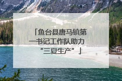 鱼台县唐马镇第一书记工作队助力“三夏生产”