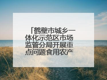 鹤壁市城乡一体化示范区市场监管分局开展重点问题食用农产品专项整治