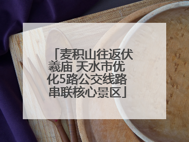 麦积山往返伏羲庙 天水市优化5路公交线路串联核心景区