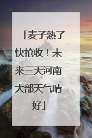 麦子熟了快抢收！未来三天河南大部天气晴好