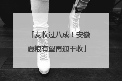 麦收过八成！安徽夏粮有望再迎丰收