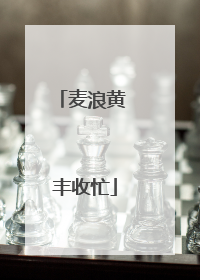 麦浪黄 丰收忙