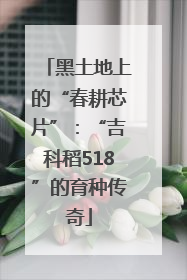 黑土地上的“春耕芯片”：“吉科稻518”的育种传奇