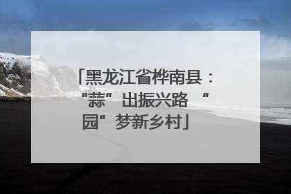 黑龙江省桦南县：“蒜”出振兴路 “园”梦新乡村