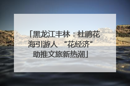 黑龙江丰林：杜鹃花海引游人 “花经济”助推文旅新热潮