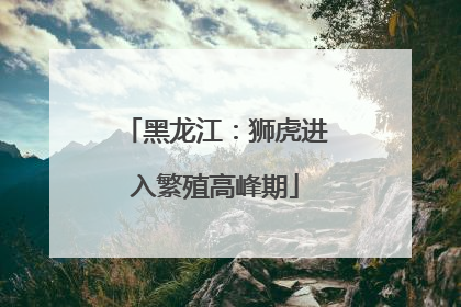 黑龙江：狮虎进入繁殖高峰期
