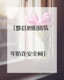 黟县碧阳镇筑牢防诈安全网