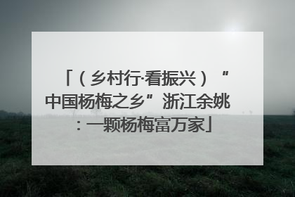 （乡村行·看振兴）“中国杨梅之乡”浙江余姚：一颗杨梅富万家