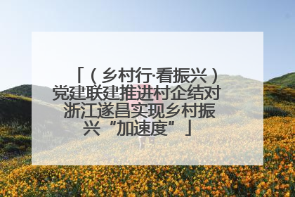 （乡村行·看振兴）党建联建推进村企结对 浙江遂昌实现乡村振兴“加速度”
