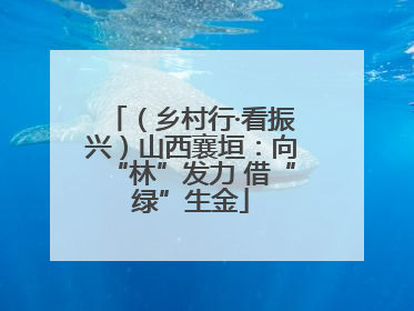 （乡村行·看振兴）山西襄垣：向“林”发力 借“绿”生金