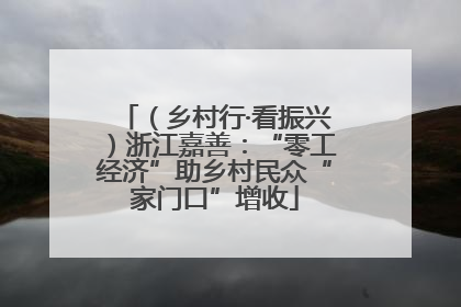 （乡村行·看振兴）浙江嘉善：“零工经济”助乡村民众“家门口”增收