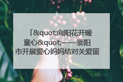 "向阳花开暖童心"——襄阳市开展爱心妈妈结对关爱留守困境儿童庆"六一"活动