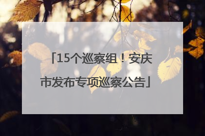 15个巡察组！安庆市发布专项巡察公告