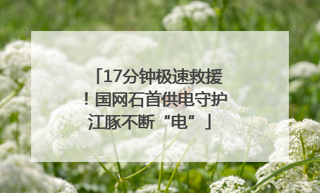 17分钟极速救援！国网石首供电守护江豚不断“电”